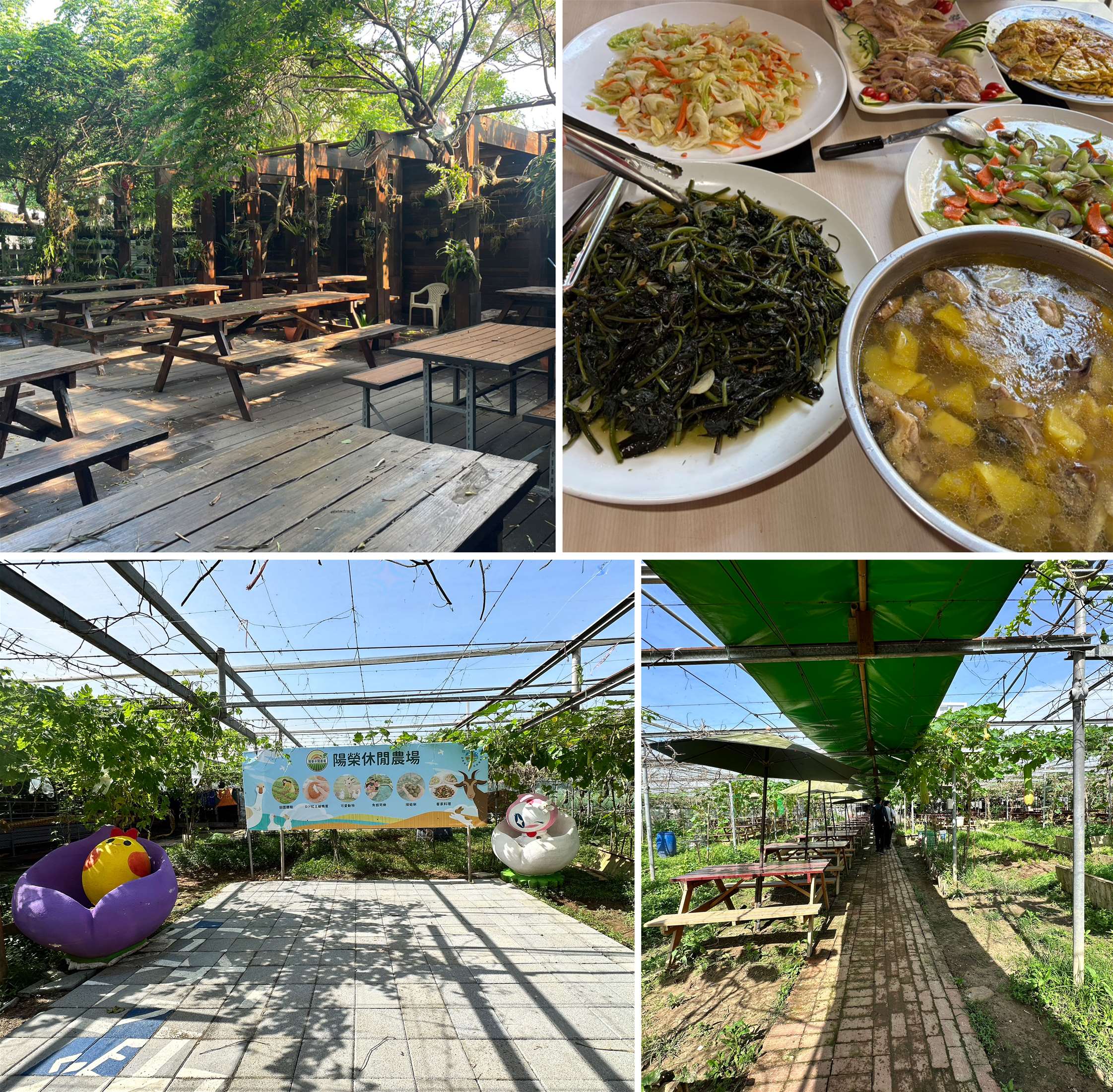 夏日消暑推薦 桃園珍珠海岸清涼農遊  體驗大王蓮水上漂、鮮採瓜果及產地風土餐桌